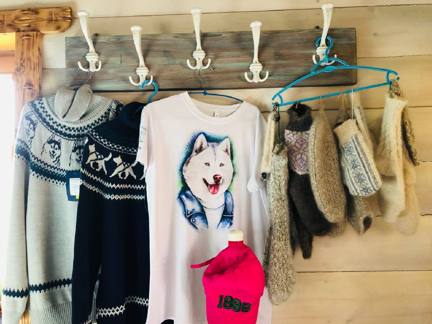 Руза, хаскидеревня, собаки, рузская Аляска, животные, туризм, дог-трекинг, катание на упряжках