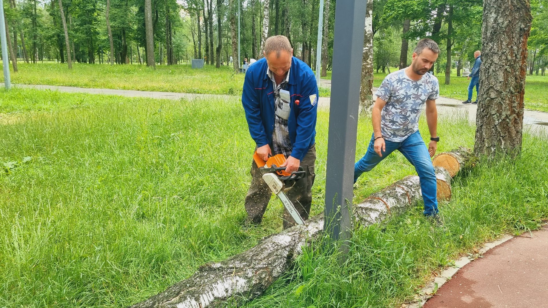 Подмосковье, Ивантеевка, благоустройство, Парки Подмосковья