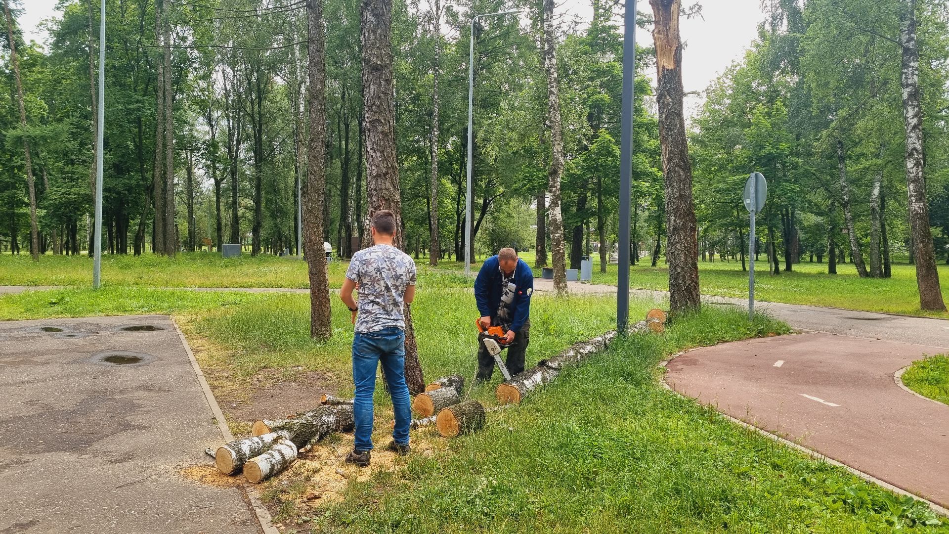 Подмосковье, Ивантеевка, благоустройство, Парки Подмосковья