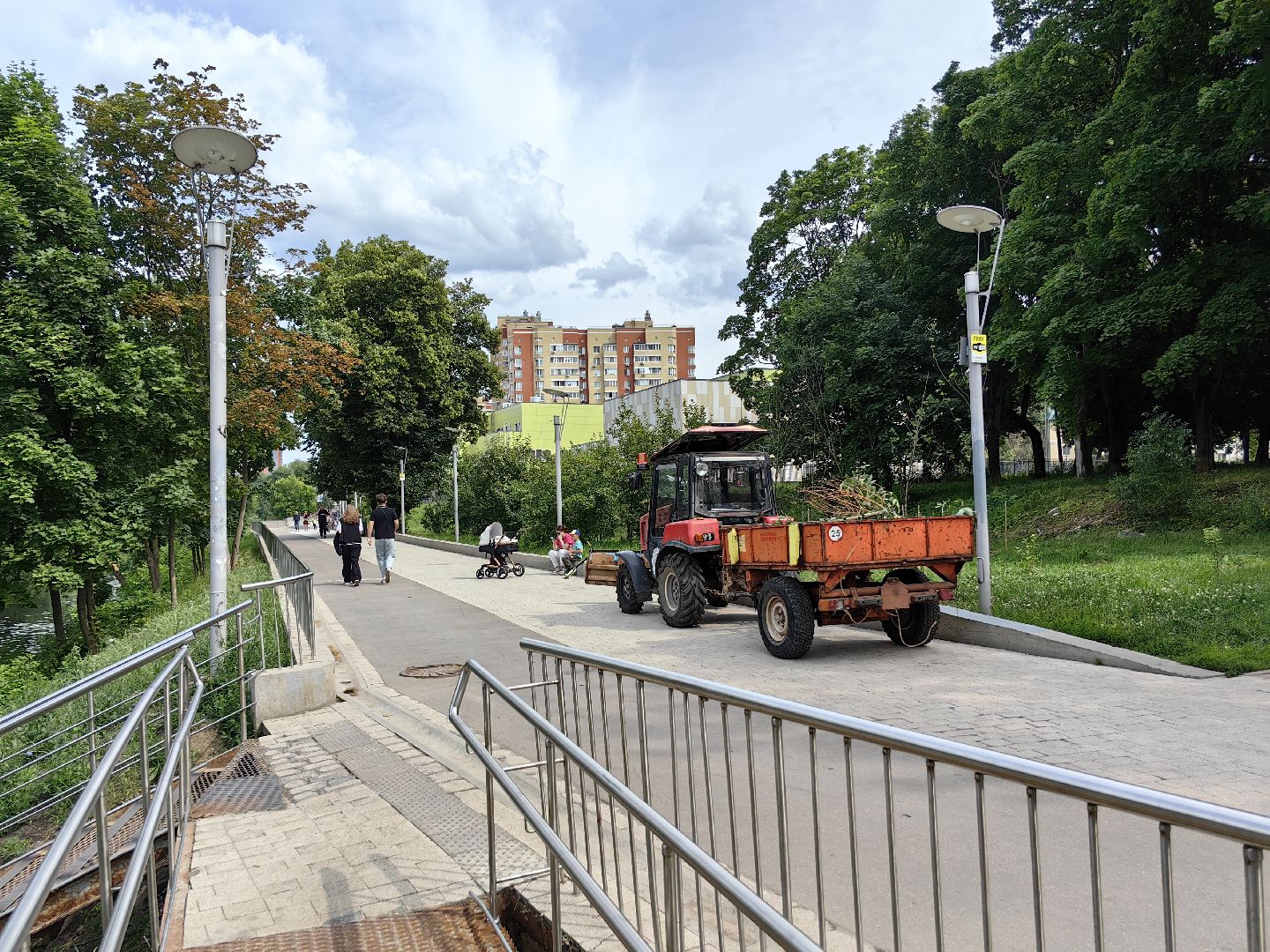 Сухостои, деревья, обрезка, благоустройство