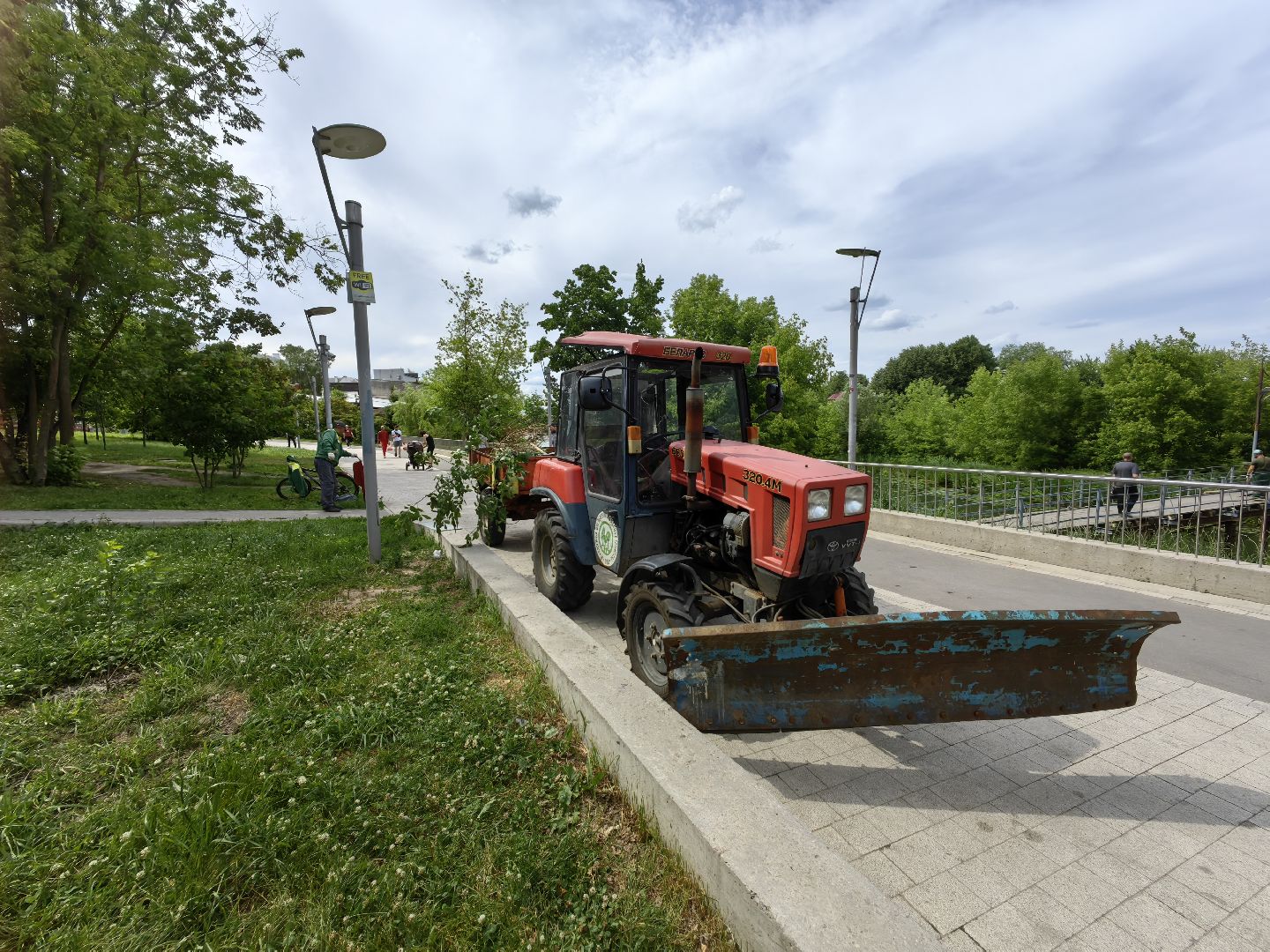 Сухостои, деревья, обрезка, благоустройство