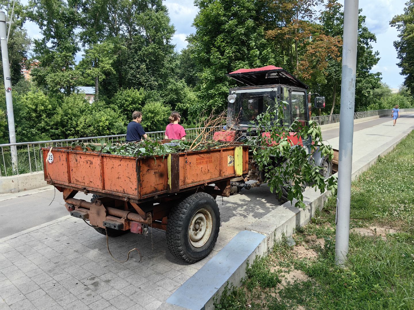 Сухостои, деревья, обрезка, благоустройство