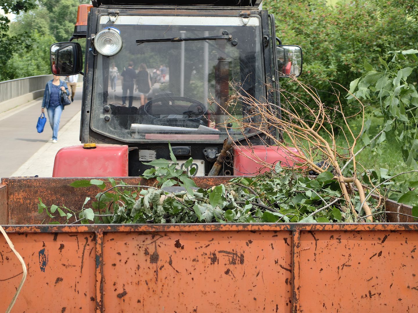 Сухостои, деревья, обрезка, благоустройство