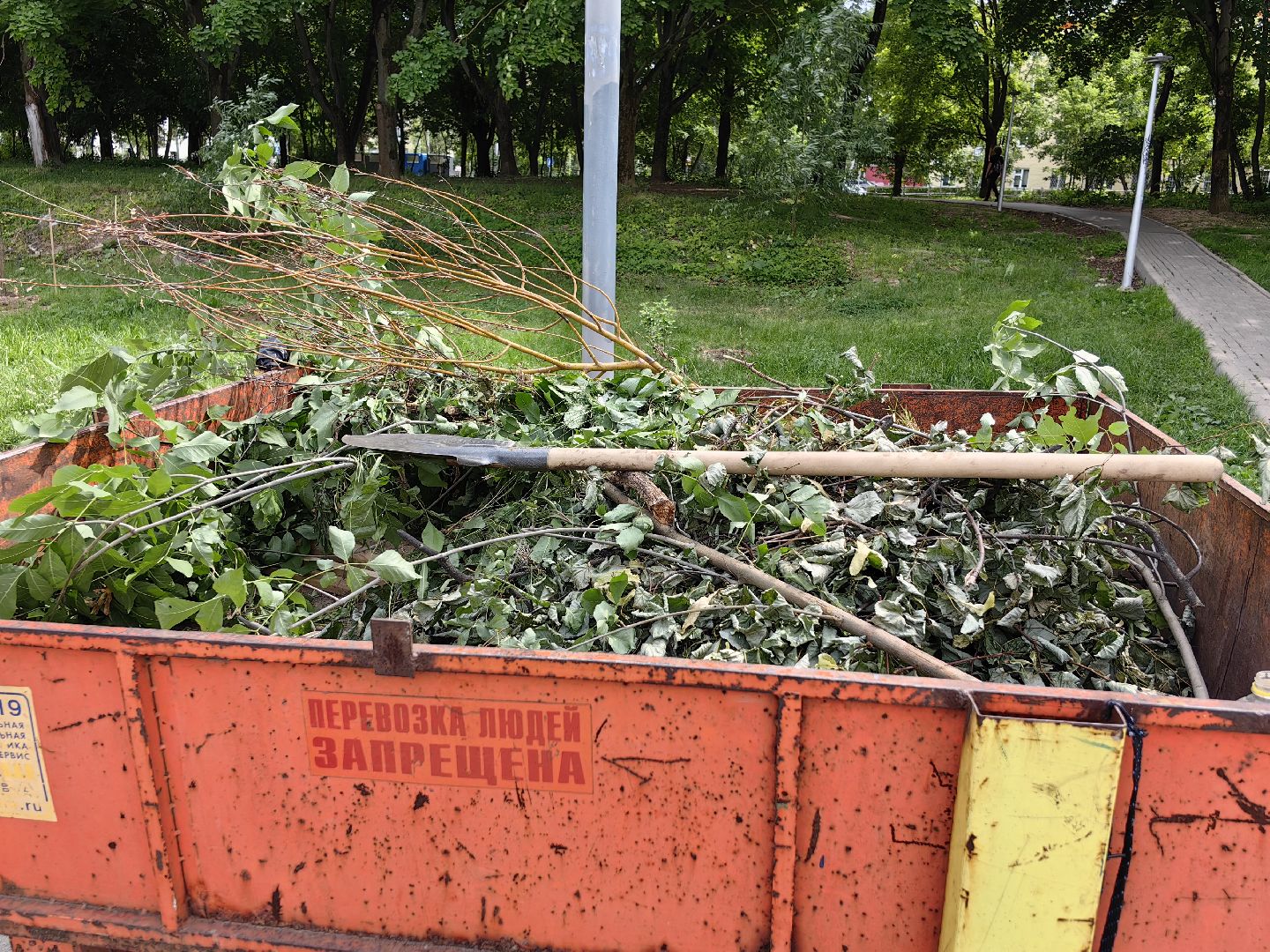 Сухостои, деревья, обрезка, благоустройство