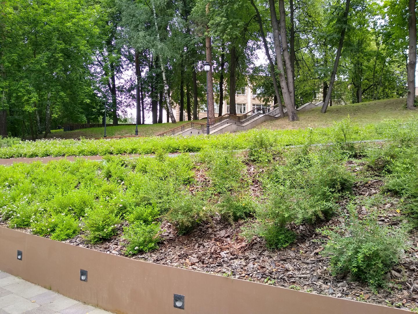 Раменское, благоустройство, парк, озеленение