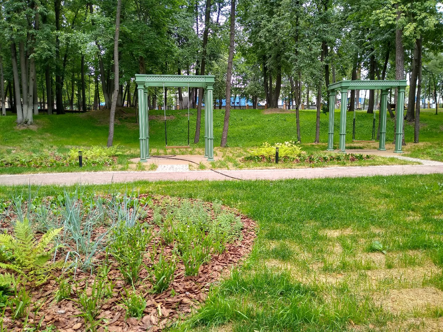 Раменское, благоустройство, парк, озеленение