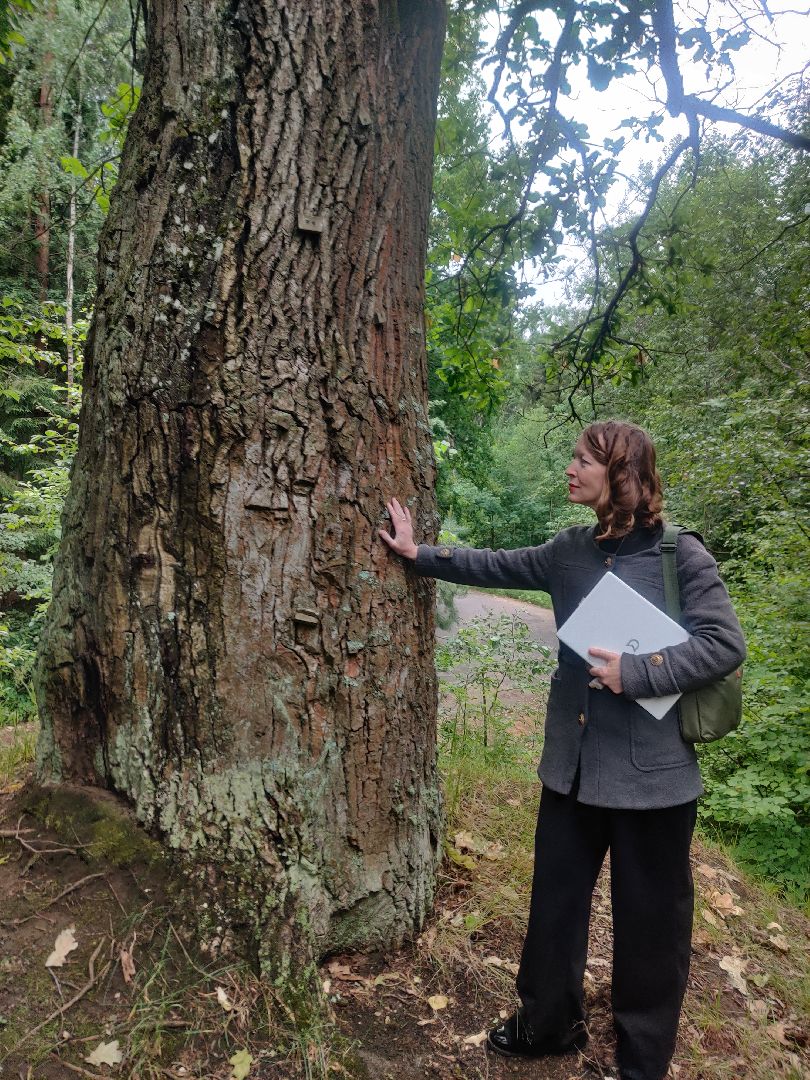 Красноармейск, Пушкинский, дуб, памятник живой природы, деревья России