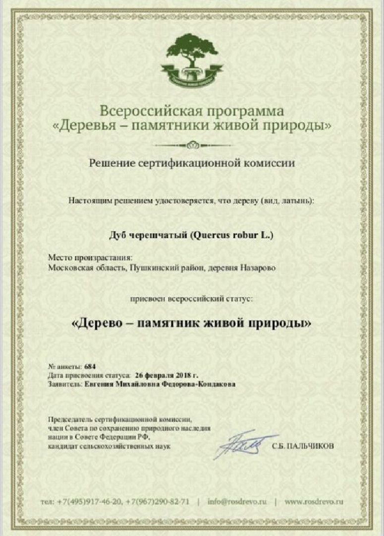 Красноармейск, Пушкинский, дуб, памятник живой природы, деревья России