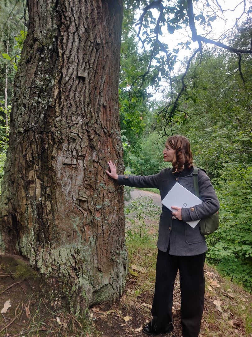 Красноармейск, Пушкинский, дуб, памятник живой природы, деревья России