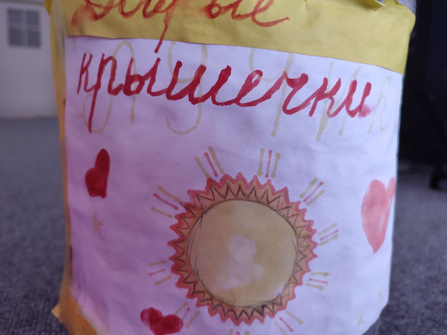 #молодаягвардия, #экология, #крышечки, #пластик, #лагерьсолнышко, #талдом