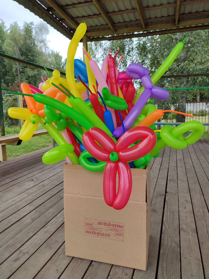 #ярмарка, #школьныйлагерь, #талдом, #жетоны, #солнышко