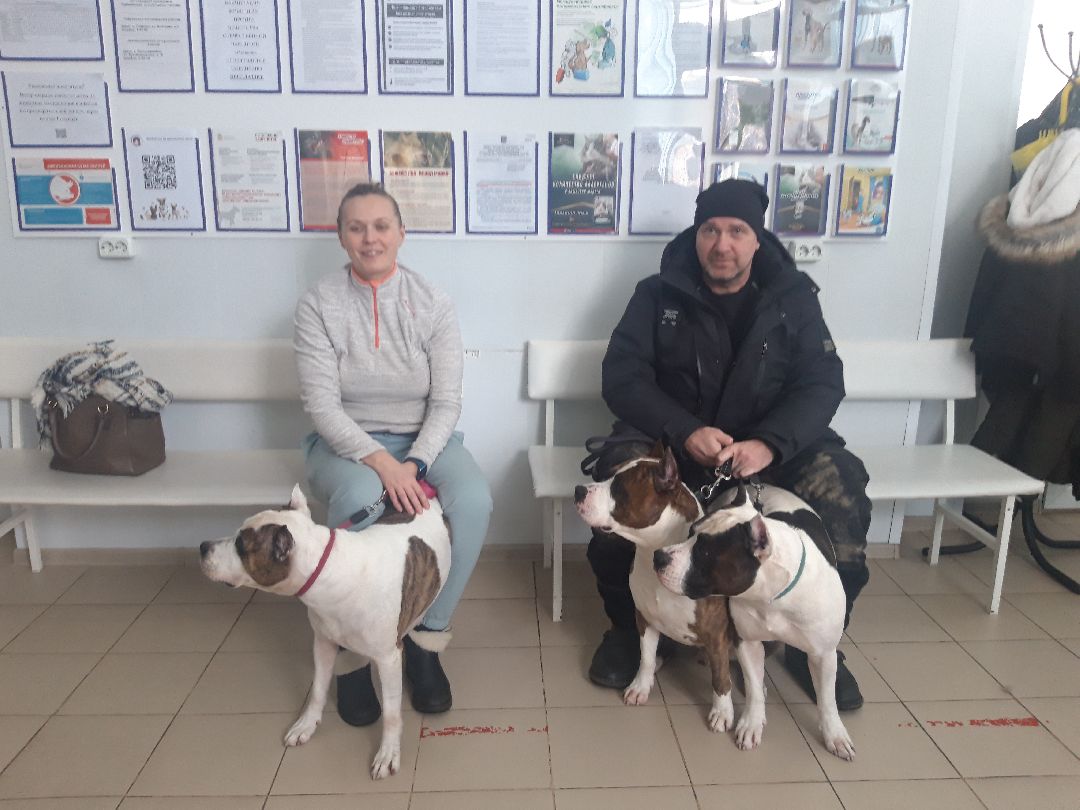 Доброе дело, предупреждение,