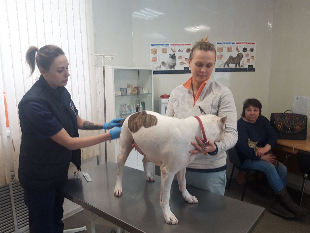 Доброе дело, предупреждение,