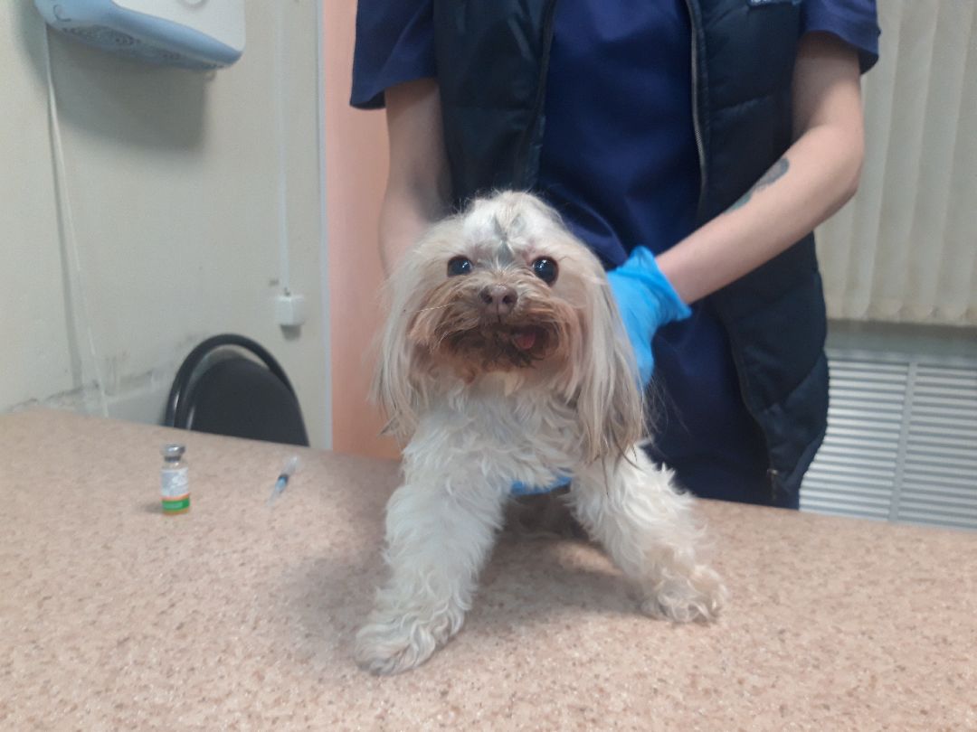 Доброе дело, предупреждение,