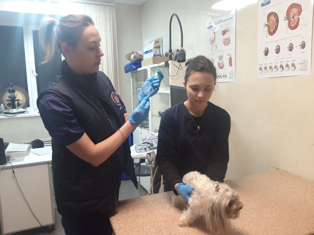 Доброе дело, предупреждение,