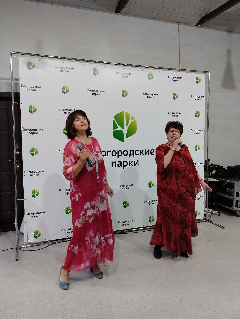 Концерт, популярная музыка, Центральный парк, Ногинск, Богородский городской округ