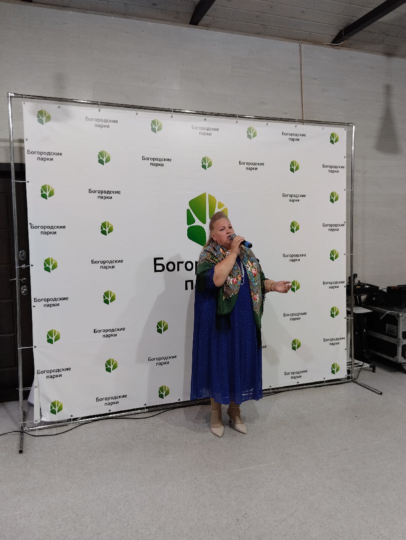 Концерт, популярная музыка, Центральный парк, Ногинск, Богородский городской округ