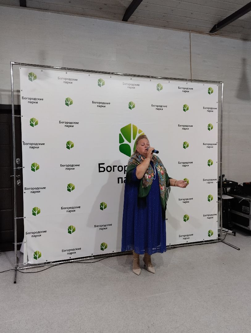 Концерт, популярная музыка, Центральный парк, Ногинск, Богородский городской округ