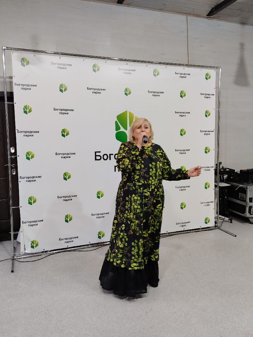 Концерт, популярная музыка, Центральный парк, Ногинск, Богородский городской округ