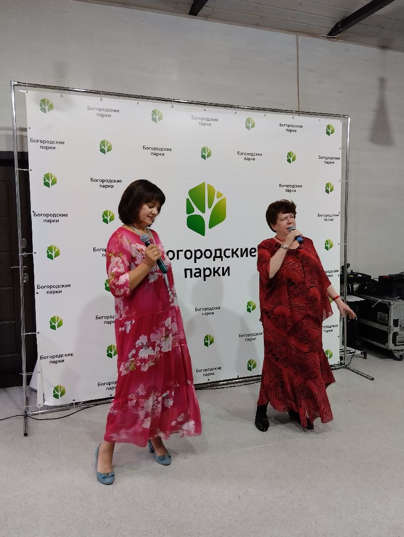 Концерт, популярная музыка, Центральный парк, Ногинск, Богородский городской округ