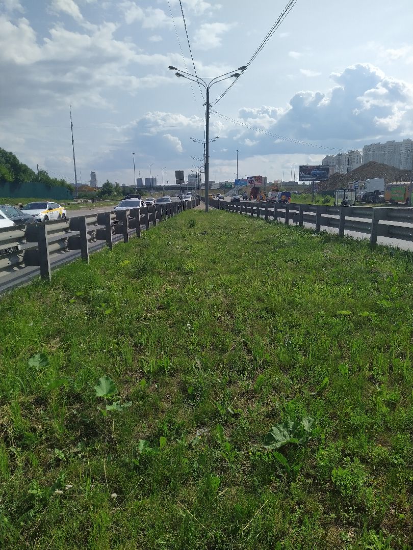 Долгопрудный, покос травы, ЖКХ, благоустройство, газон, Химки