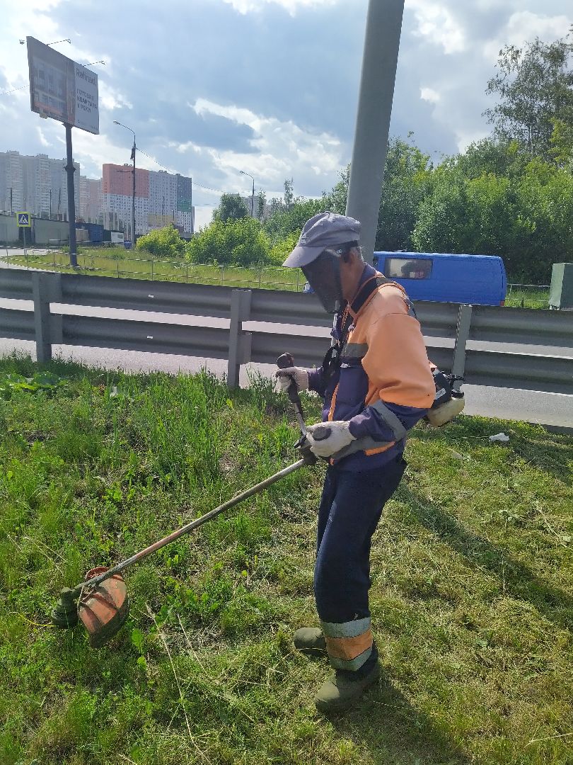 Долгопрудный, покос травы, ЖКХ, благоустройство, газон, Химки