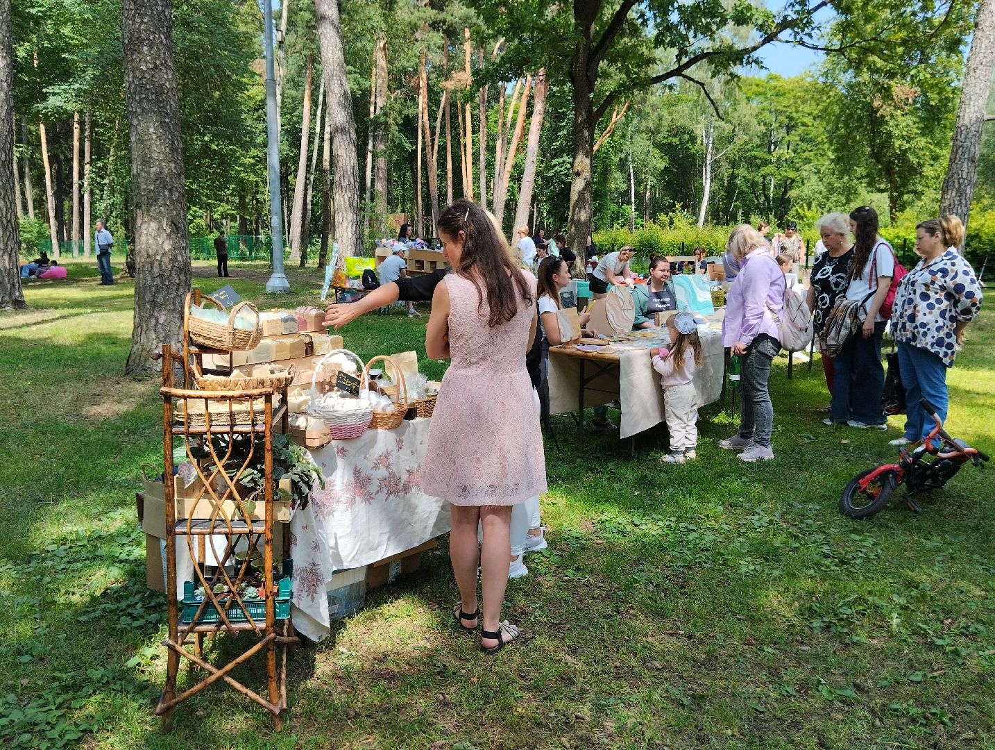 Фестиваль, парк, Волхонка, Ногинск, Богородский городской округ