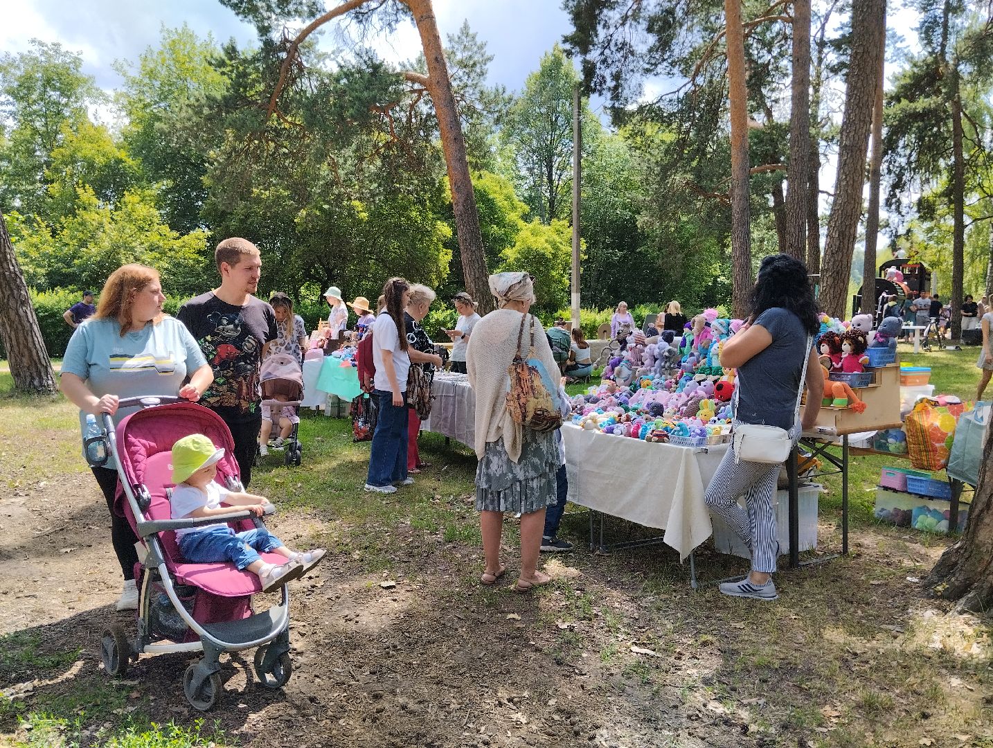 Фестиваль, парк, Волхонка, Ногинск, Богородский городской округ