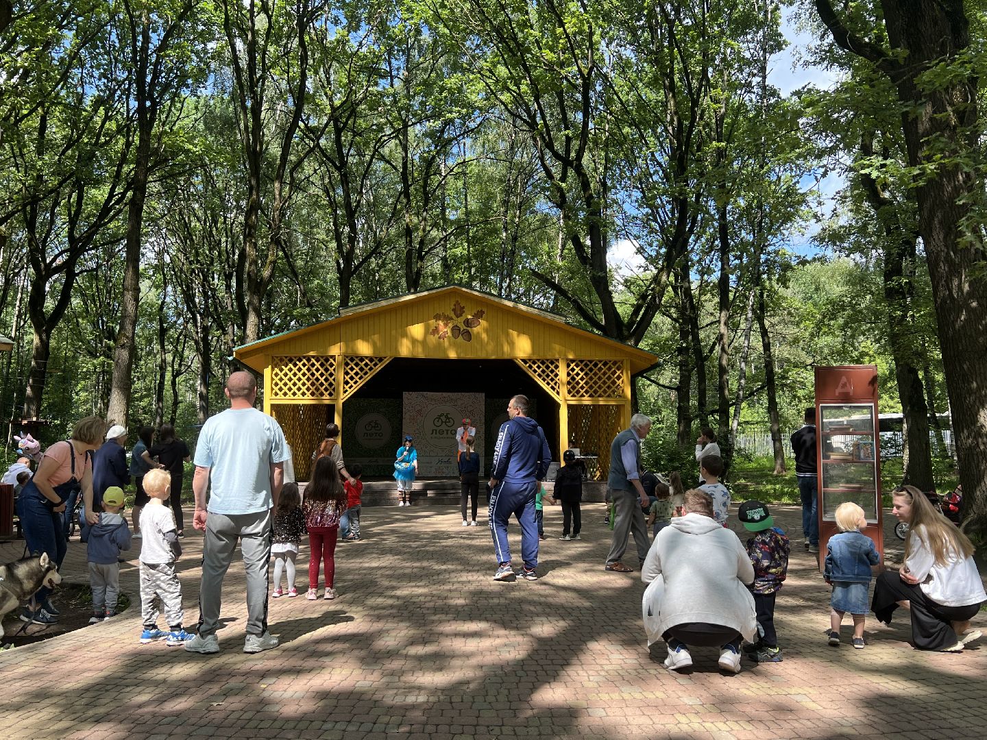 Химки, транспорт, дети, ПДД, парк