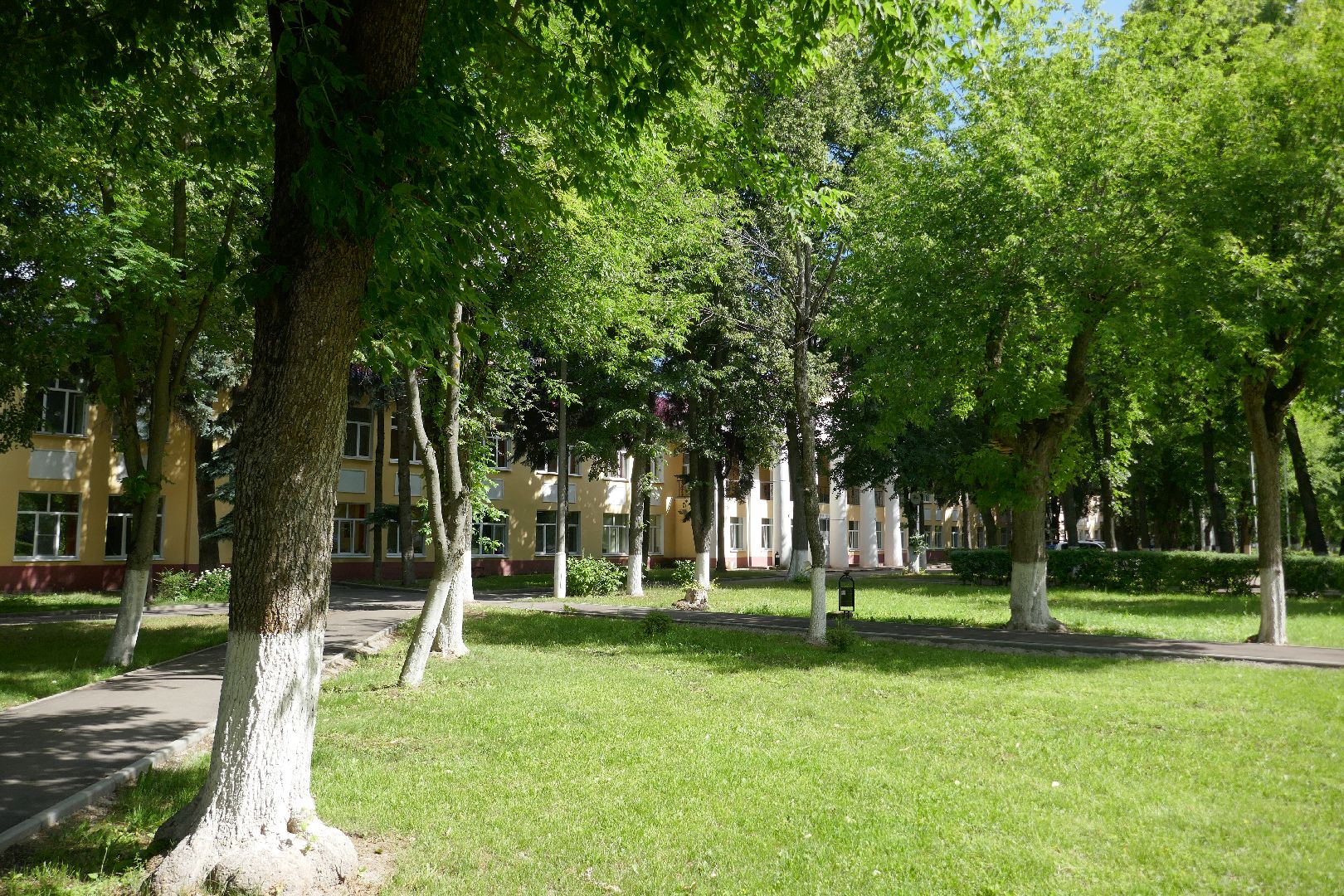 Подольск, медицина, лор, здравоохранение, операция, спасли жизнь