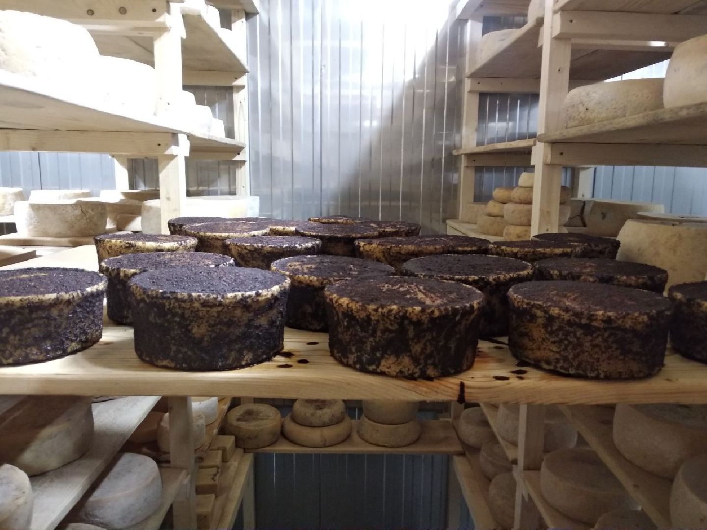 Дмитров, ТПП МО, Минсельхоз МО