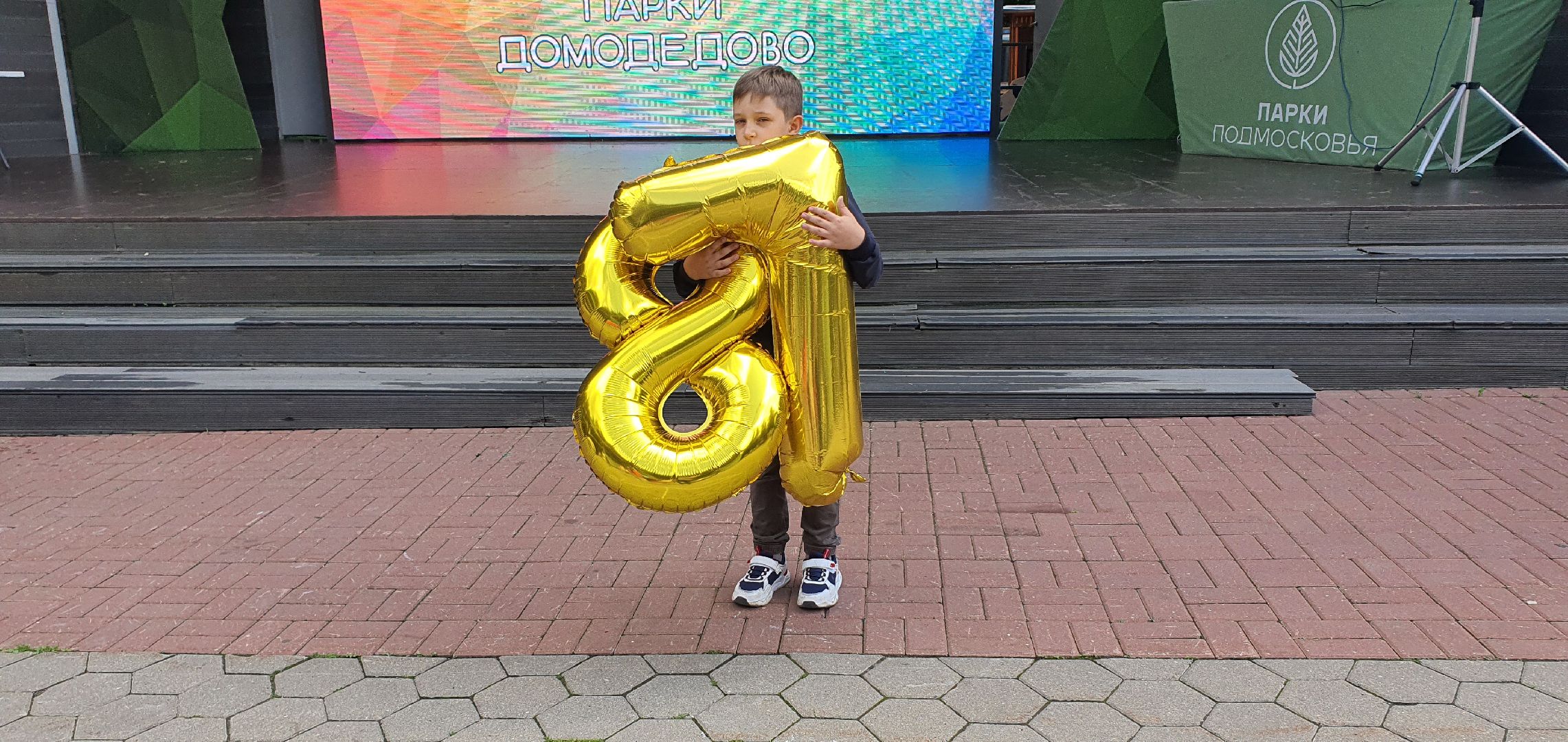 День ГАИ, Домодедово