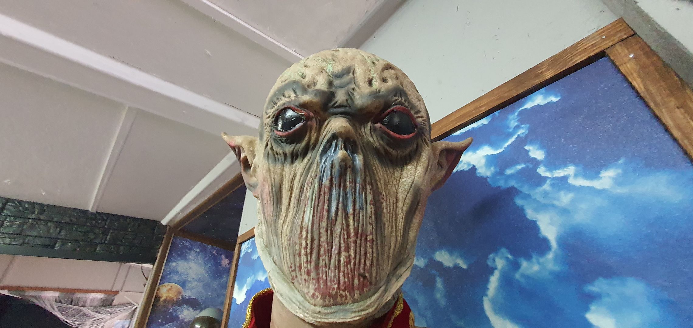 Музей инопланетян, Домодедово