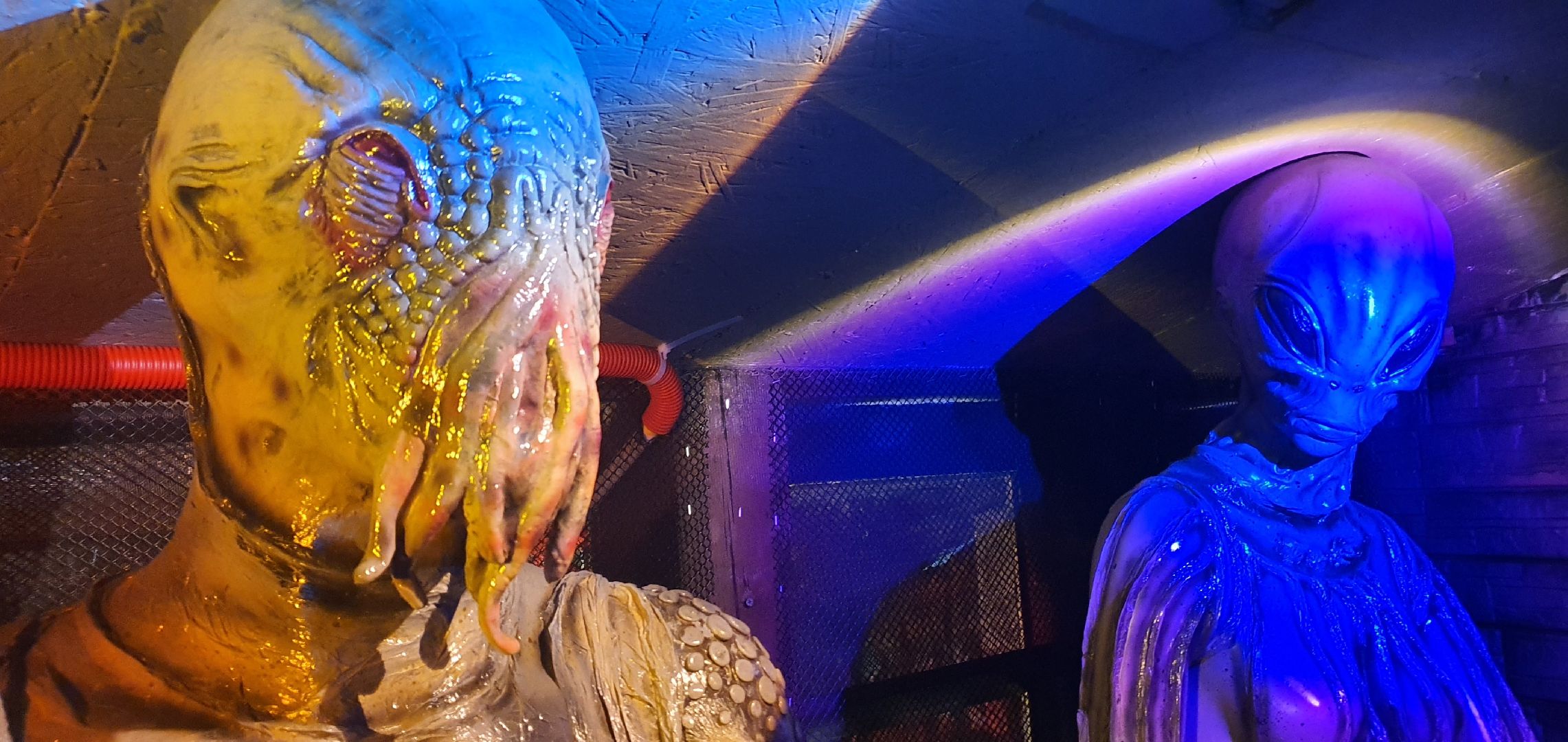 Музей инопланетян, Домодедово