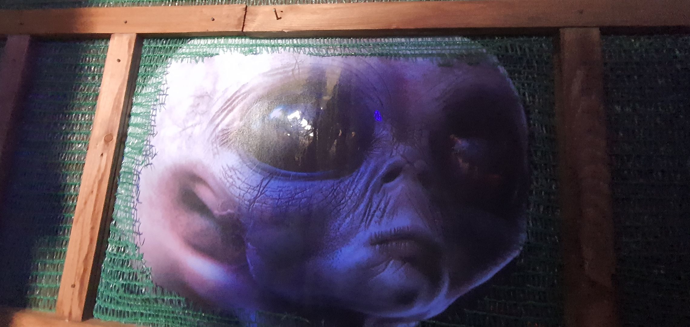 Музей инопланетян, Домодедово