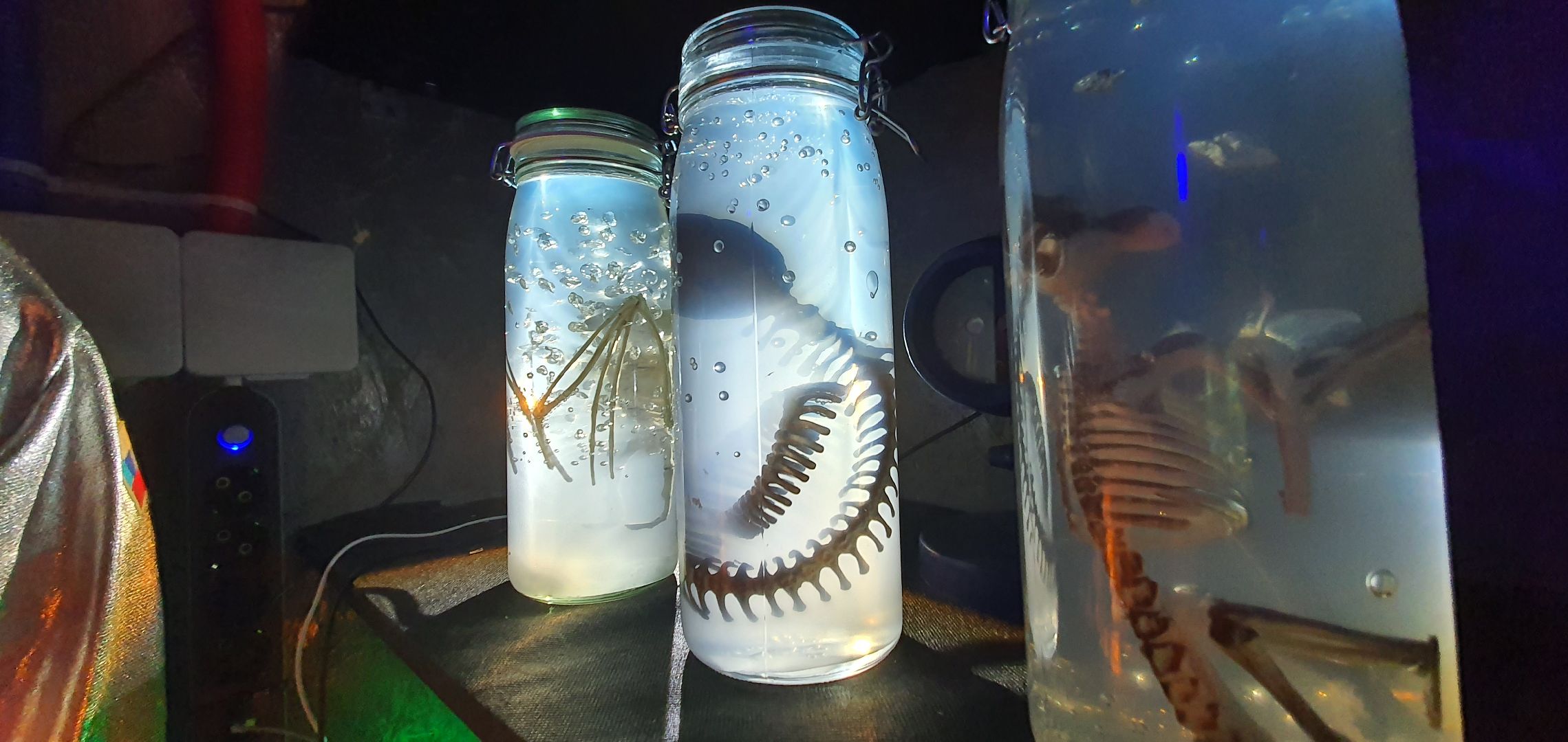 Музей инопланетян, Домодедово