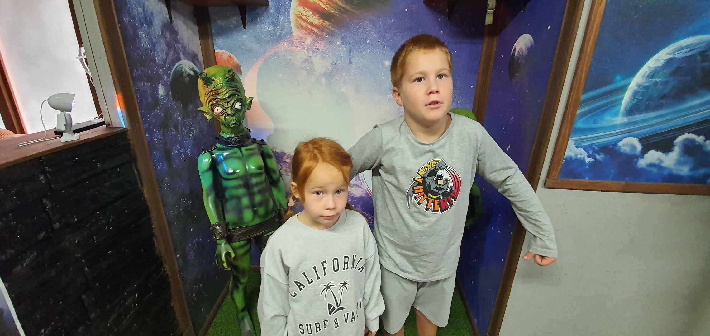 Музей инопланетян, Домодедово