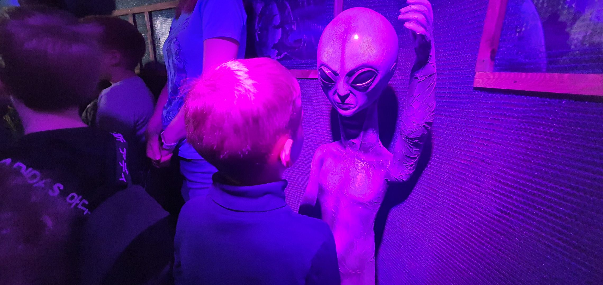 Музей инопланетян, Домодедово