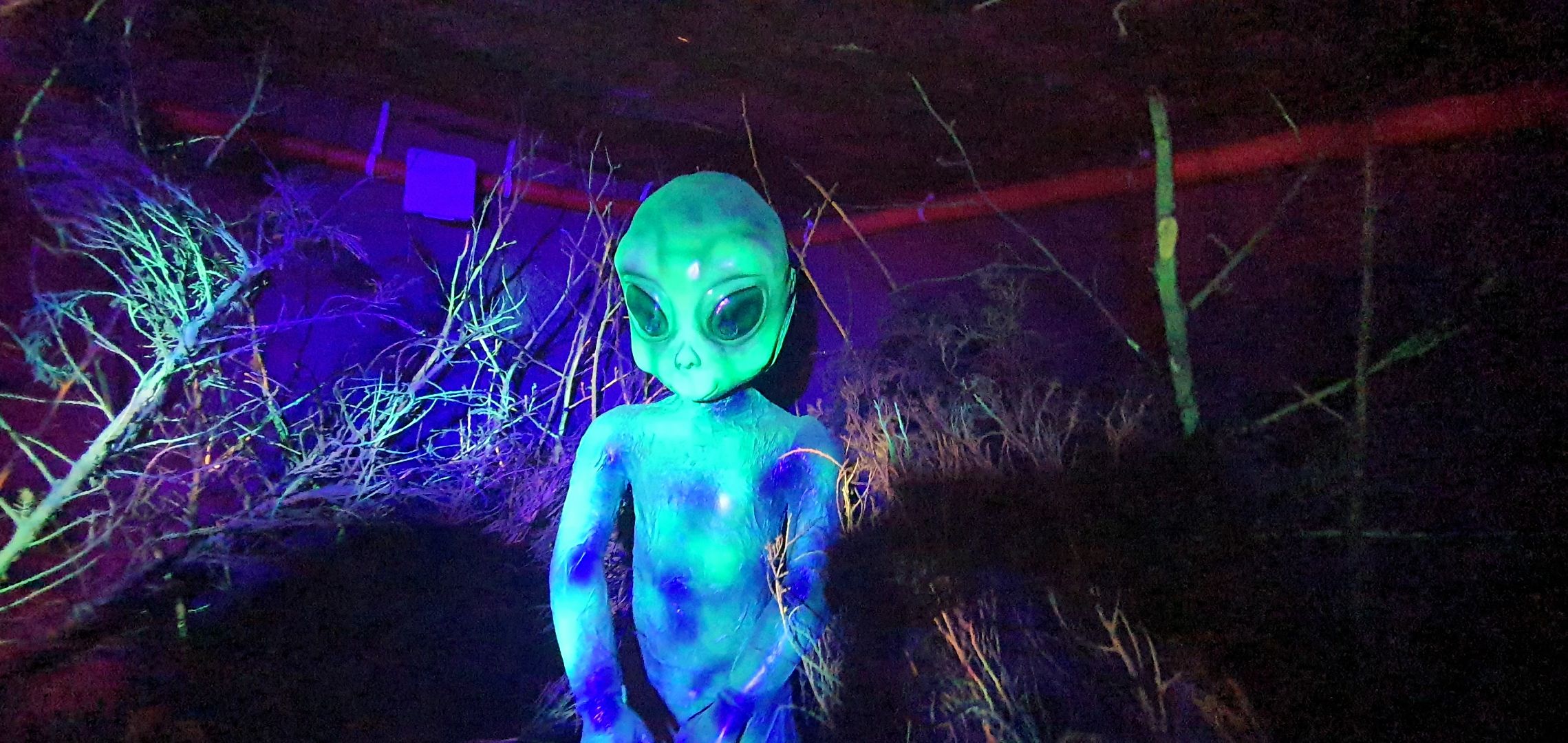 Музей инопланетян, Домодедово