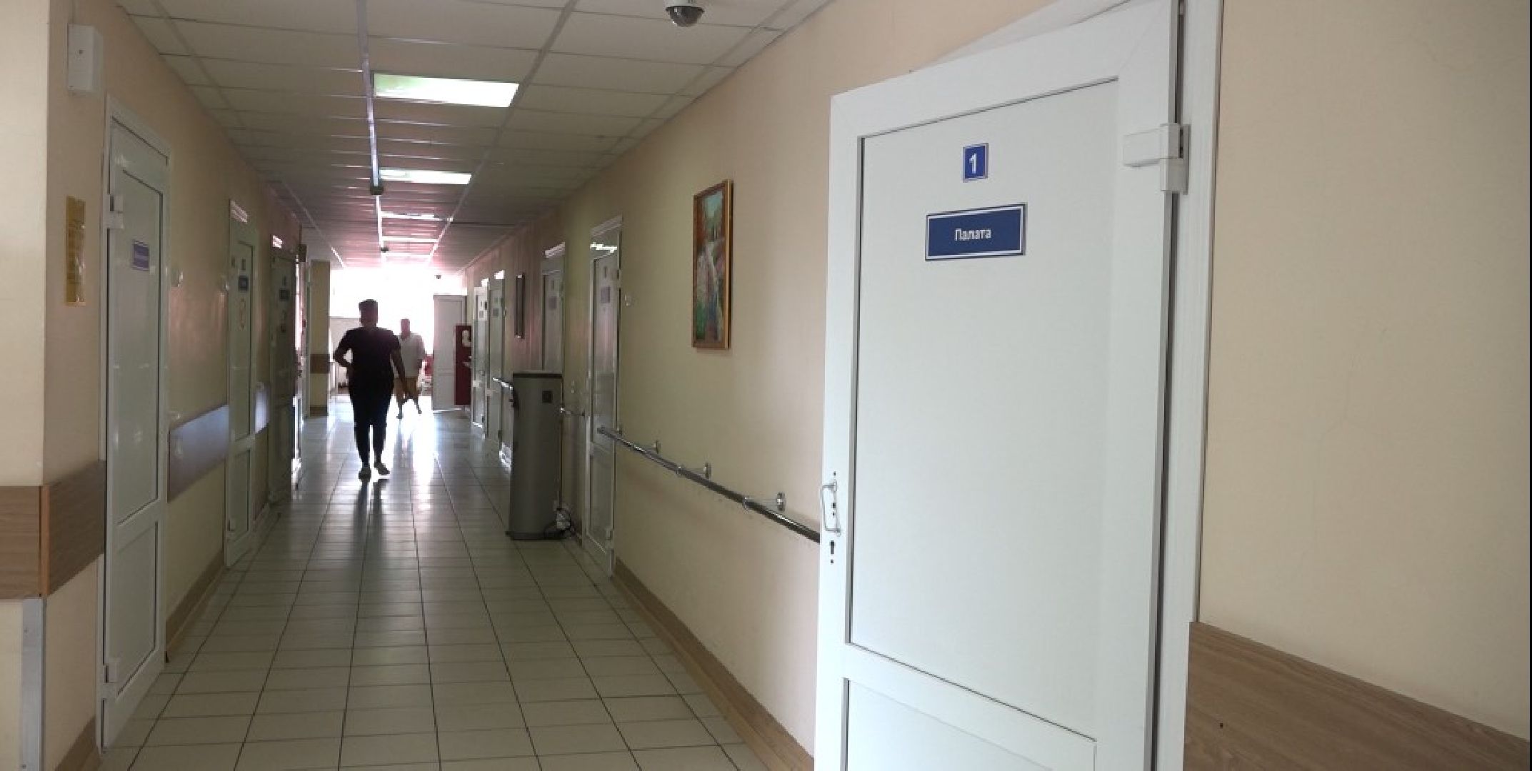 Студенты - практиканты, Домодедовская больница