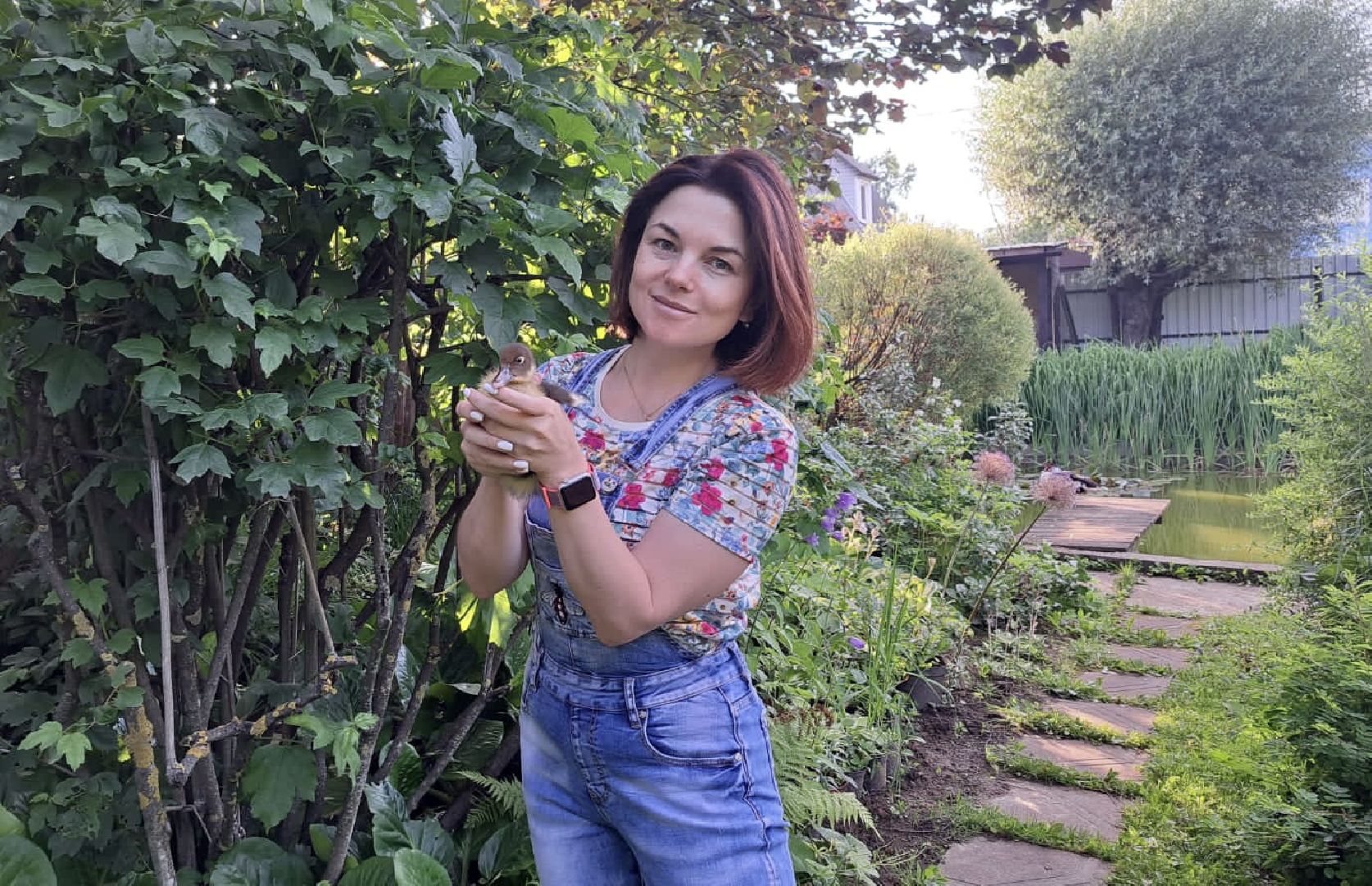 Одинцово, Утиные истории, Экология, Подмосковье