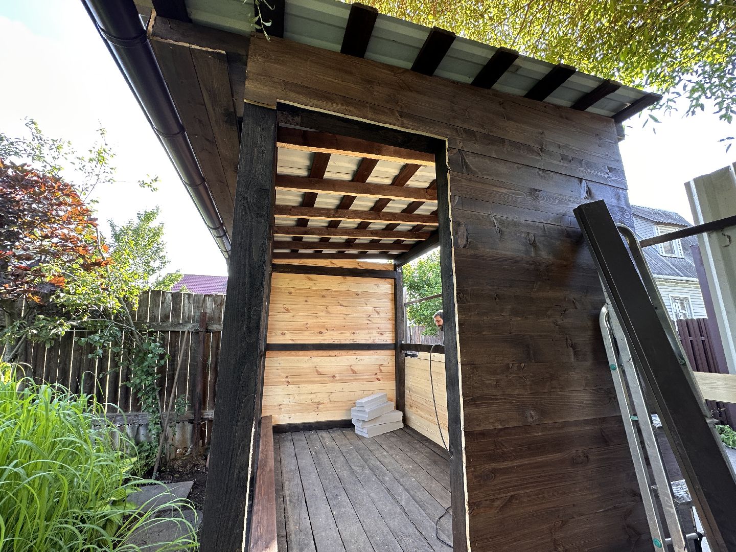 Одинцово, Утиные истории, Экология, Подмосковье