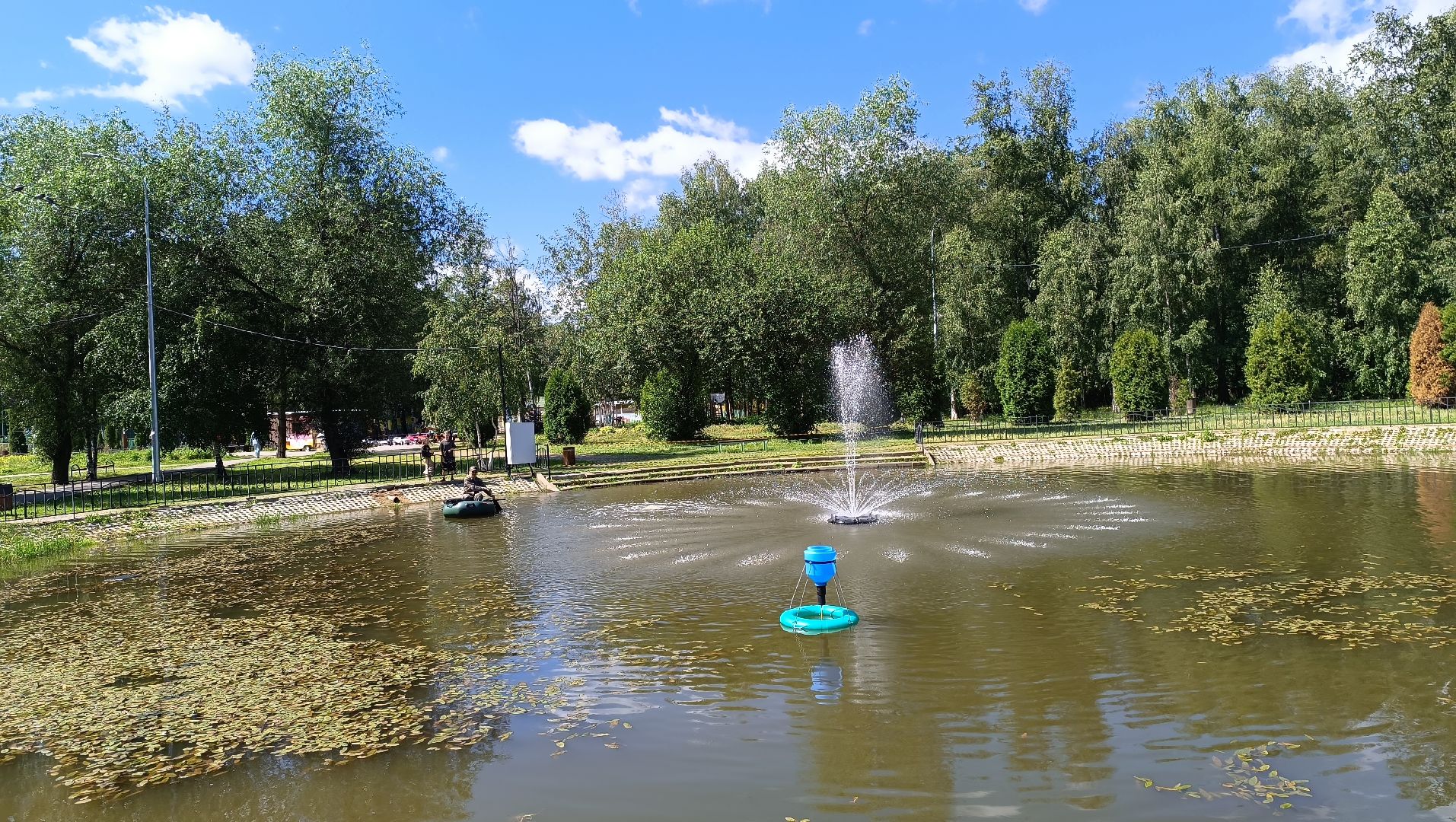 парк, рыба, пруд