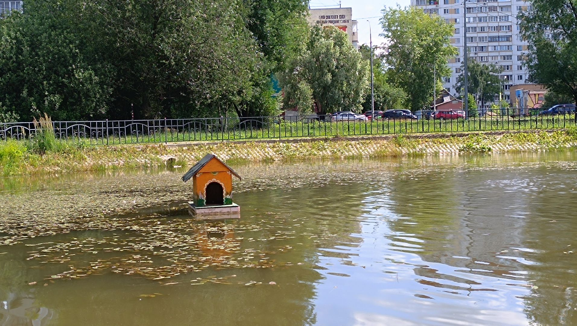 парк, рыба, пруд