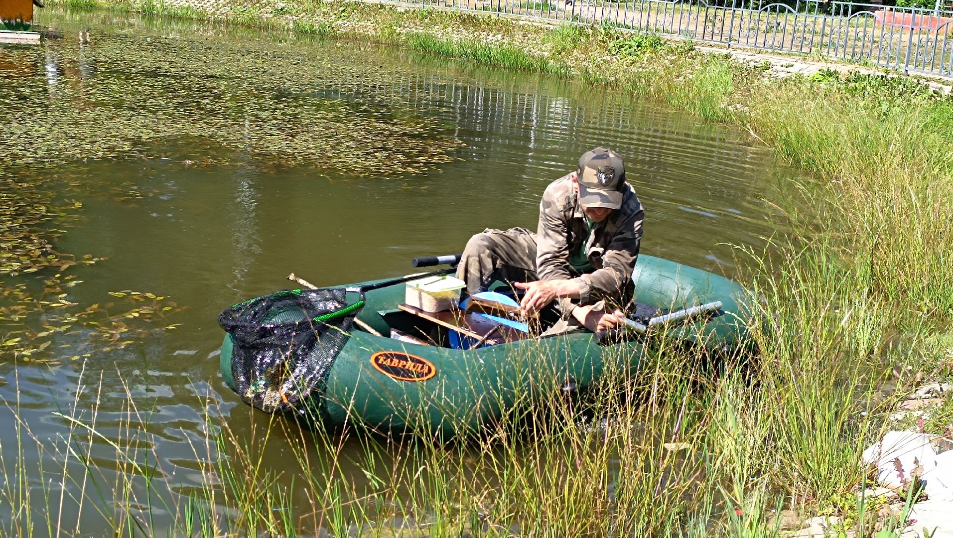 парк, рыба, пруд