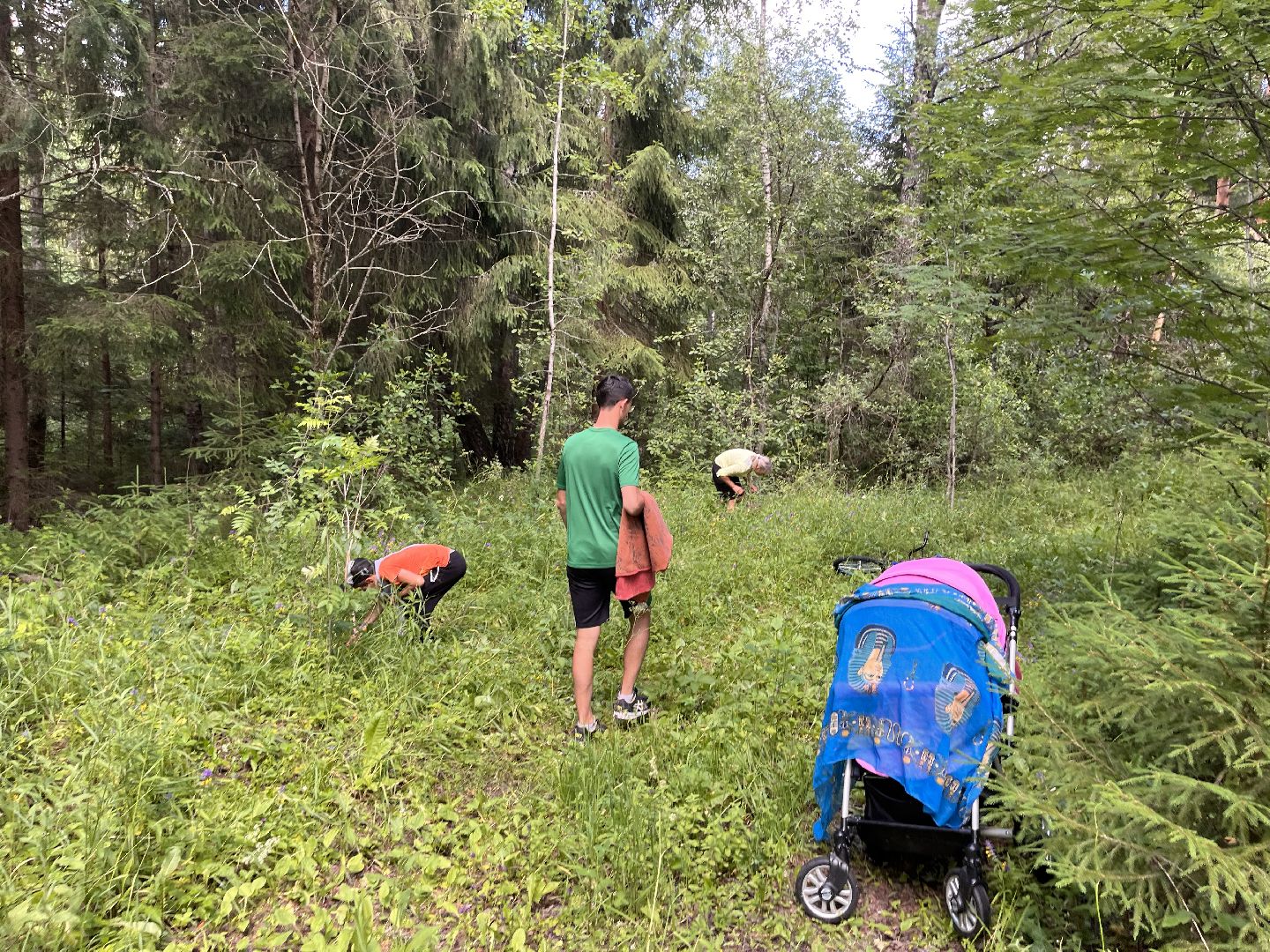 Шаховская, мертвое озеро, отдых, туризм