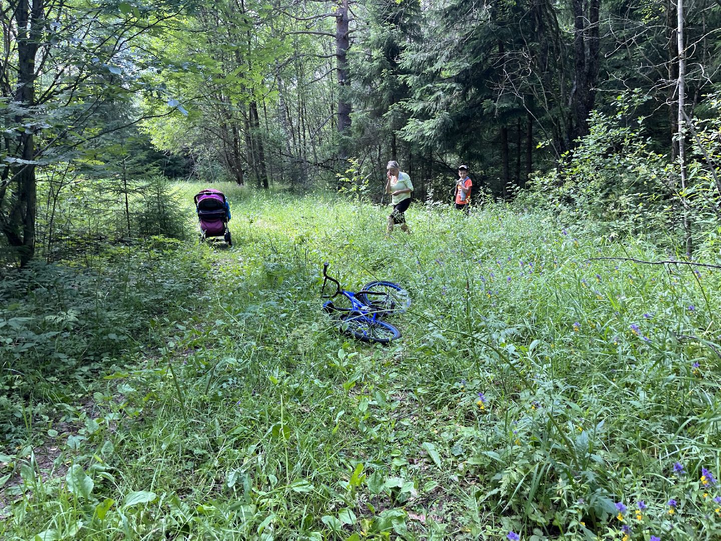 Шаховская, мертвое озеро, отдых, туризм