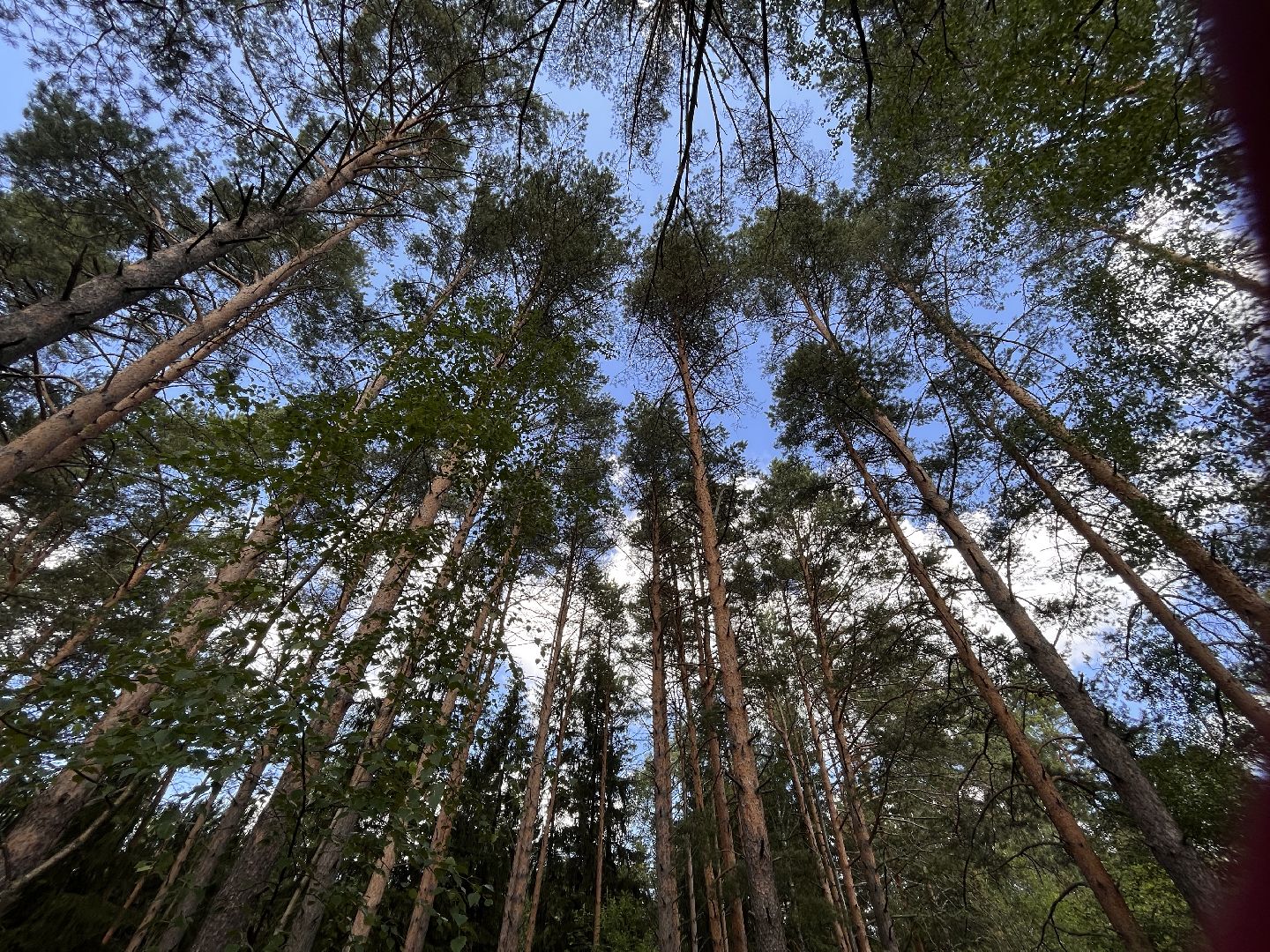 Шаховская, мертвое озеро, отдых, туризм