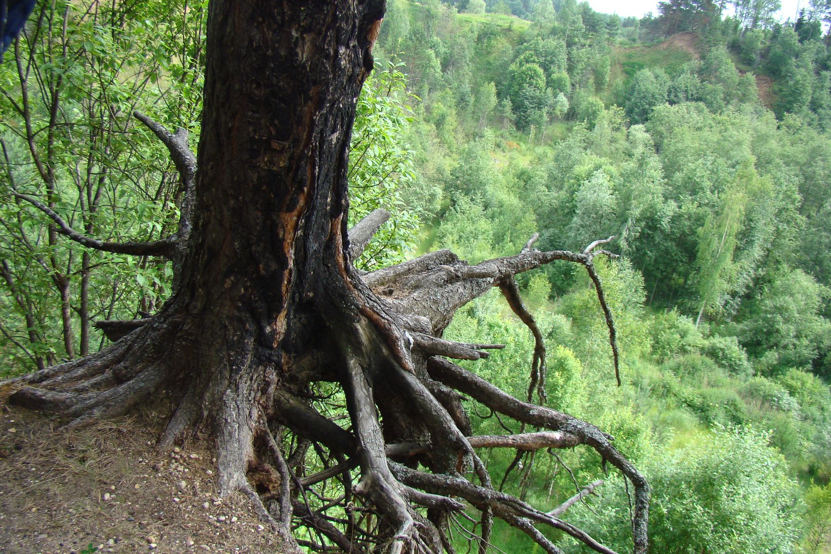 Шаховская, мертвое озеро, отдых, туризм