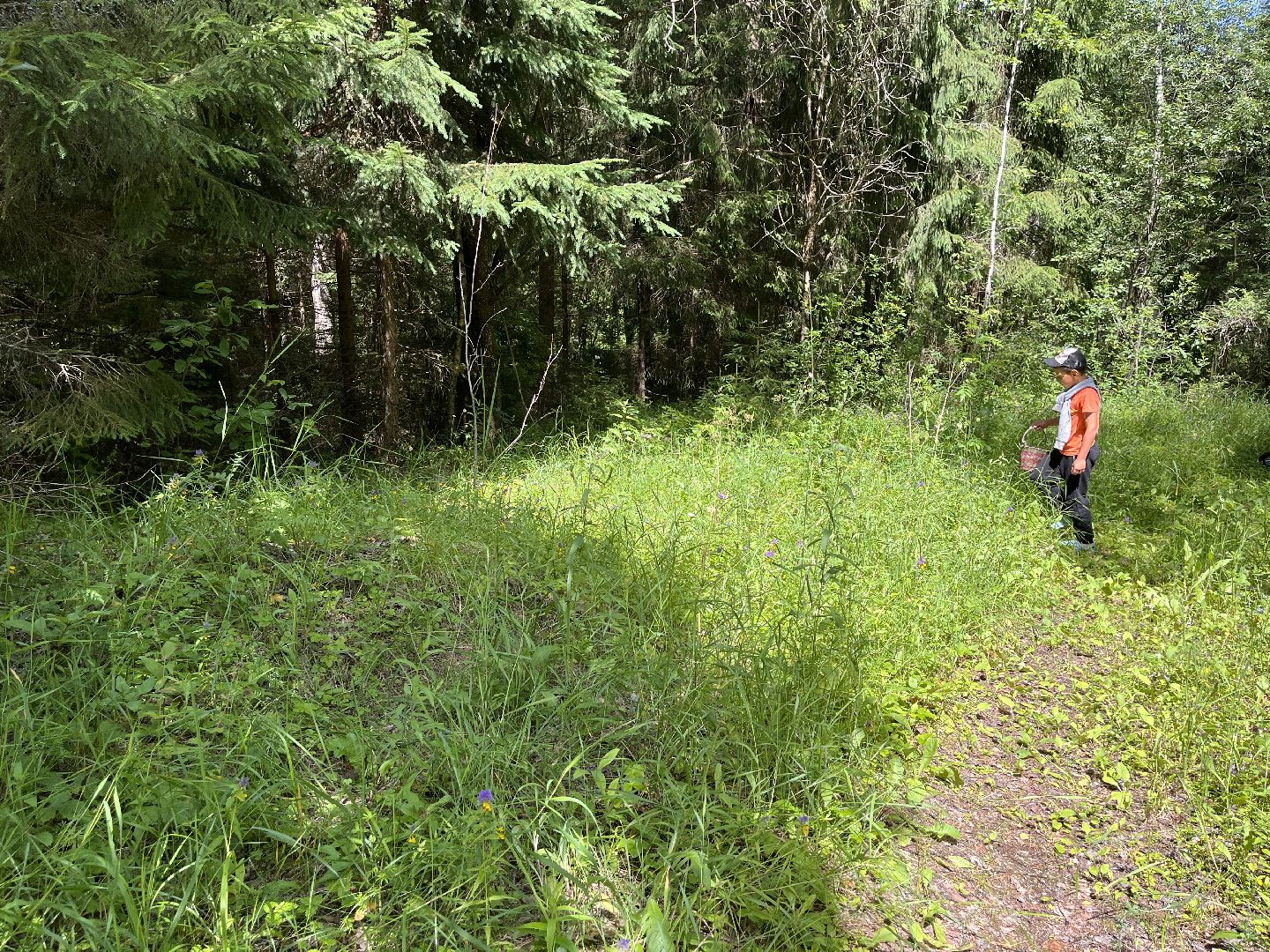 Шаховская, мертвое озеро, отдых, туризм